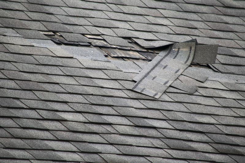 Shingle Repair Work